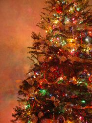 Christmas Tree Fireproof Recipes